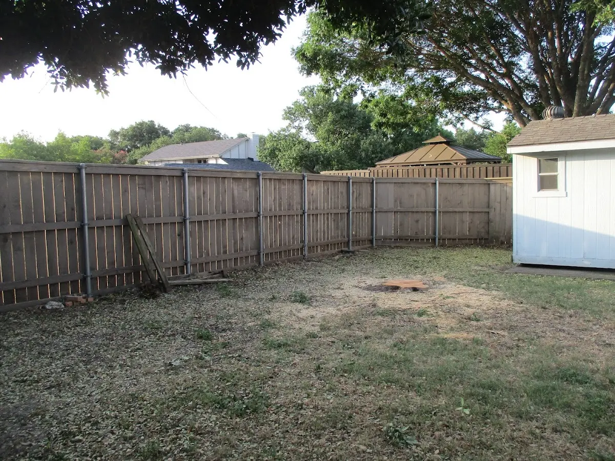 Cleared yard after professional tree removal in Saint Louis